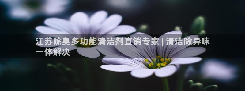 凯时K8国际