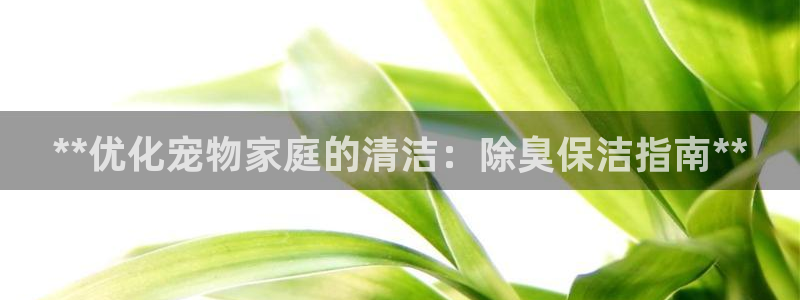 尊龙凯时几百万怎么下