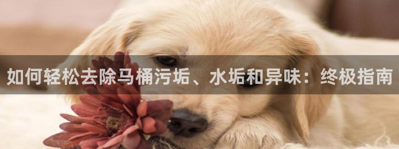 尊龙凯时是赌博嘛