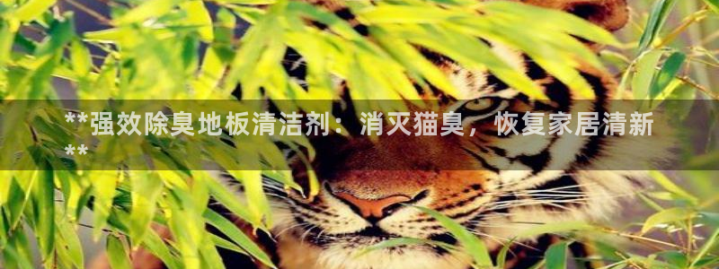 尊龙凯时公司官网