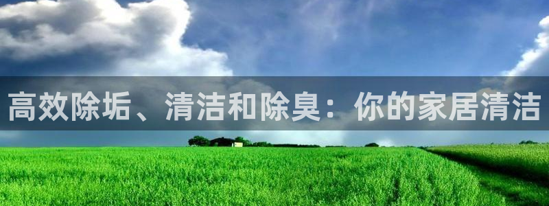 尊龙凯时城游戏官网：高效除垢、清洁和除臭：你的家居清洁
