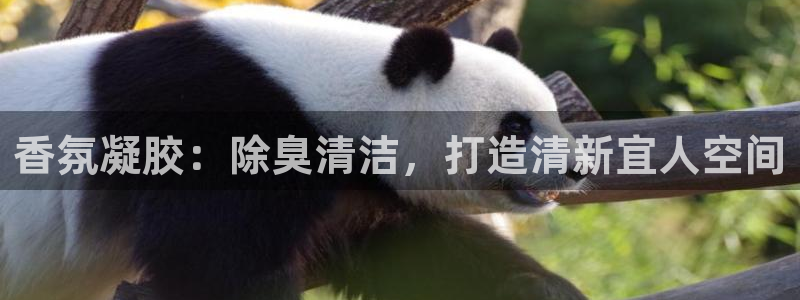 尊龙凯时网娱乐最新版