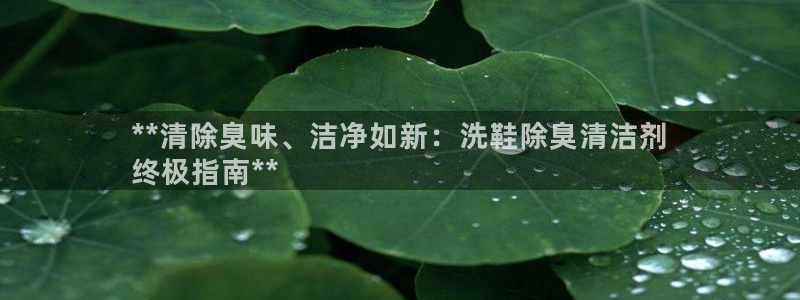 尊龙凯时官网正规吗