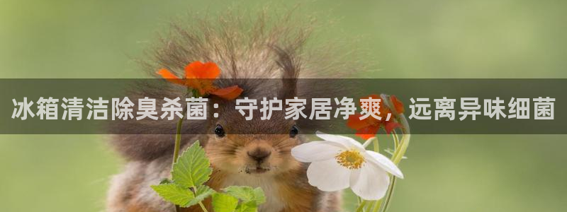 尊龙现金推荐ag发财网