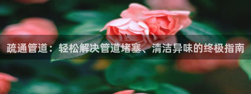 尊龙凯时平台还是万博好