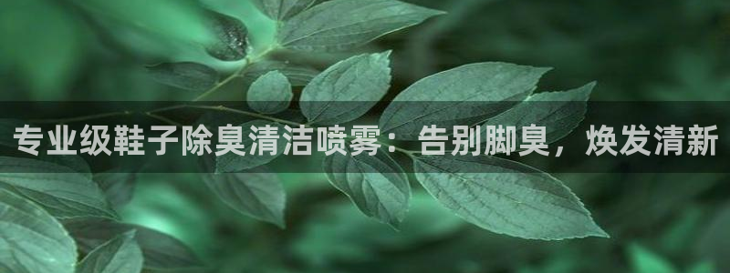 尊龙凯时人生就是博·(中国)官网最新