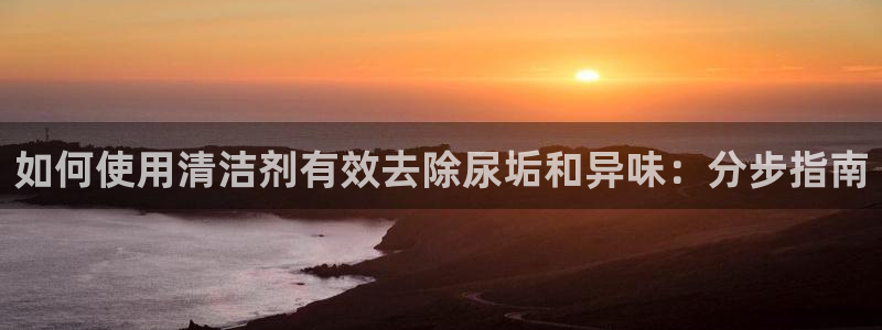 凯时k66官网登录：如何使用清洁剂有效去除尿垢和异味：分
