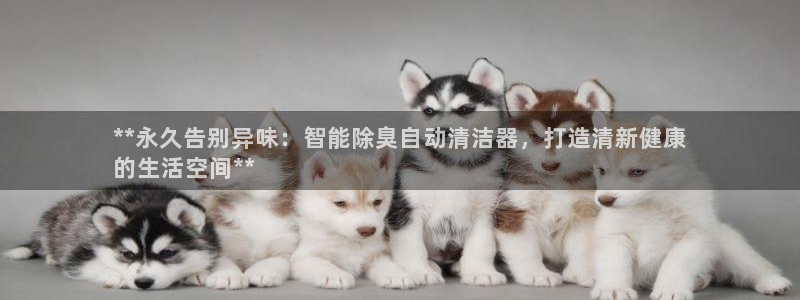 尊龙凯时有限公司