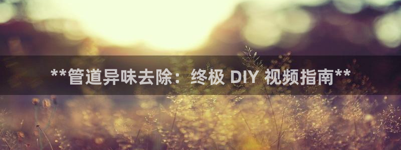 尊龙凯时登录：**管道异味去除：终极 DIY 视频指南*