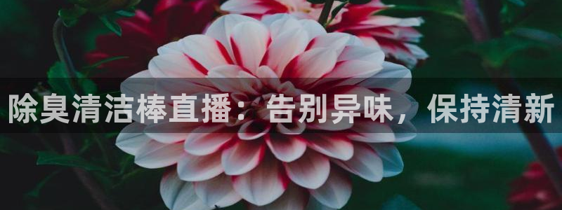 尊龙凯时推荐人