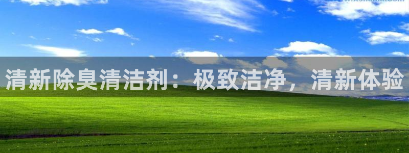 尊龙新版登录网址下载：清新除臭清洁剂：极致洁净，清新体验