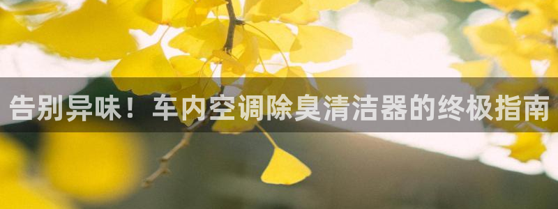 尊龙ag旗舰厅官网登录：告别异味！车内空调除臭清洁器的终