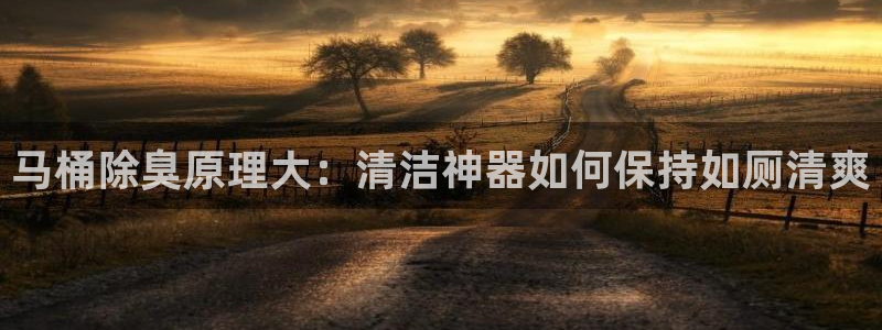 尊龙现金推荐ag发财网：马桶除臭原理大：清洁神器如何保持