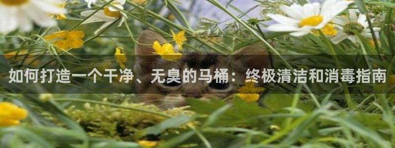 尊龙人生就是博用现金玩一下