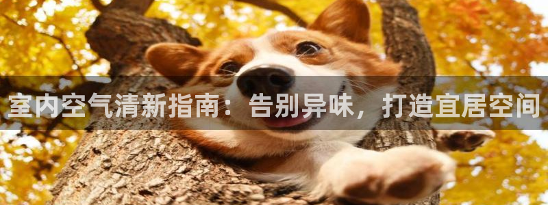 凯时K66最新版本下载