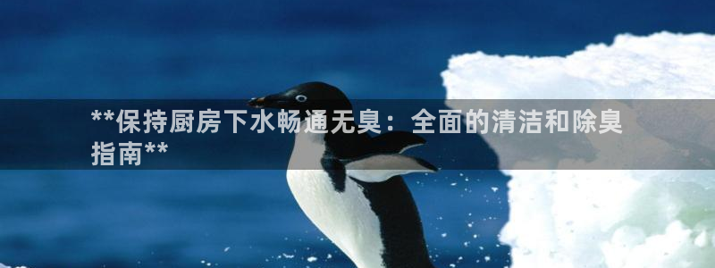 尊龙多少岁：**保持厨房下水畅通无臭：全面的清洁和除臭
