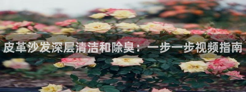 尊龙凯时 人生就是搏客服