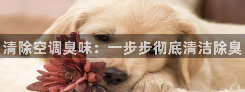 尊龙am i blue：清除空调臭味：一步步彻底清洁除臭