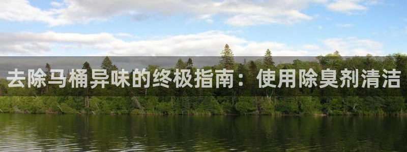 尊龙D88现金旧版：去除马桶异味的终极指南：使用除臭剂清
