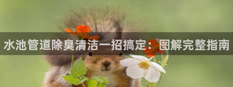 尊龙人生就是博官方官网