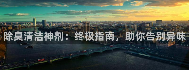 尊龙人生就是博官网登录手机：除臭清洁神剂：终极指南，助你