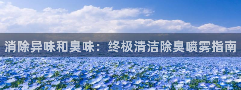 尊龙凯时官网网页版：消除异味和臭味：终极清洁除臭喷雾指南