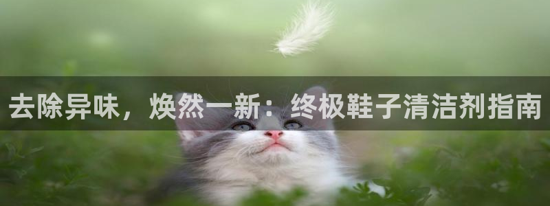尊龙凯时-人生就是博中国官网首页