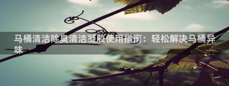 尊龙app登录不了：马桶清洁除臭清洁凝胶使用指南：轻松解