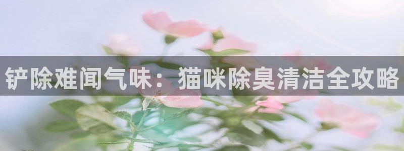 尊龙凯时ag旗舰厅登陆