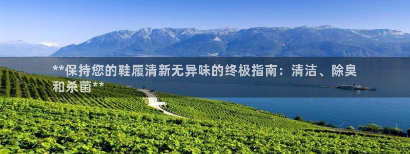 尊龙凯时城游戏官网：**保持您的鞋履清新无异味的终极指南