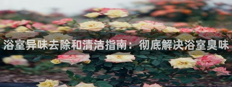 尊龙凯时人生就是搏!官网：浴室异味去除和清洁指南：彻底解