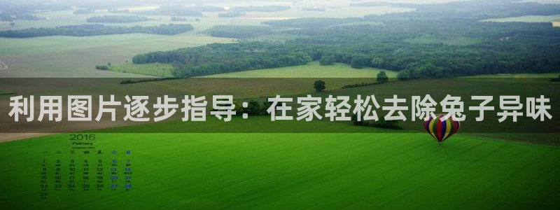 尊龙登录地址：利用图片逐步指导：在家轻松去除兔子异味