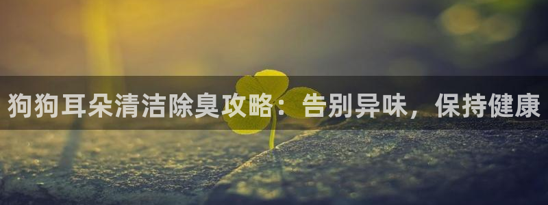 尊龙光学怎么样