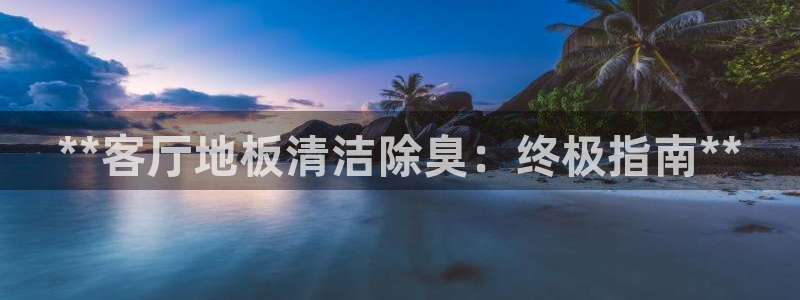 凯时官网的售后服务：**客厅地板清洁除臭：终极指南**