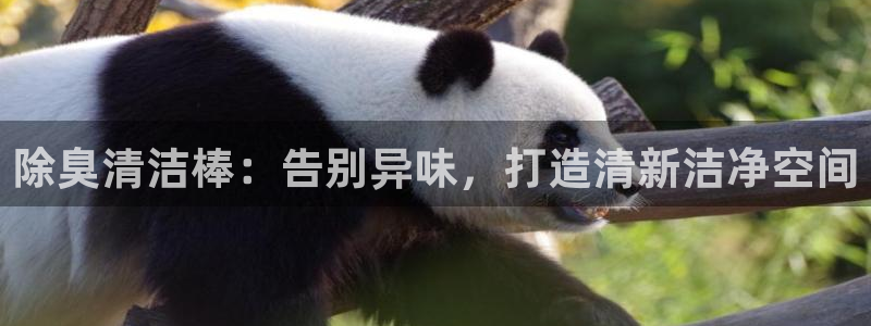 尊龙凯时的生产设备：除臭清洁棒：告别异味，打造清新洁净空