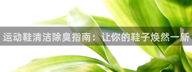 尊龙凯时的企业文化