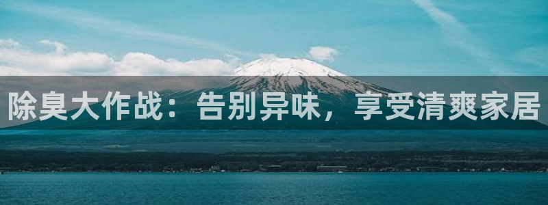 尊龙凯时台子：除臭大作战：告别异味，享受清爽家居
