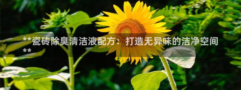 凯时登录平台去AG发财网：**瓷砖除臭清洁液配方：打造无