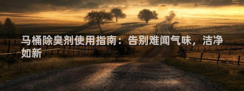 尊龙凯时怎么注销账号：马桶除臭剂使用指南：告别难闻气味，