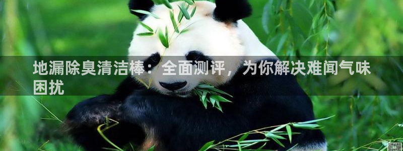 凯时k66官网登录：地漏除臭清洁棒：全面测评，为你解决难