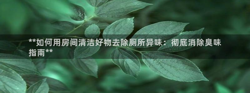 尊龙网站注册站注册：**如何用房间清洁好物去除厕所异味：