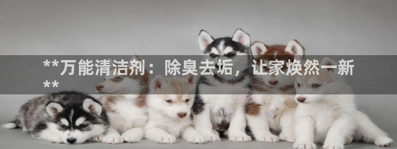尊龙t500和t300区别：**万能清洁剂：除臭去垢，让