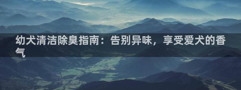 尊龙在线登录官网：幼犬清洁除臭指南：告别异味，享受爱犬的