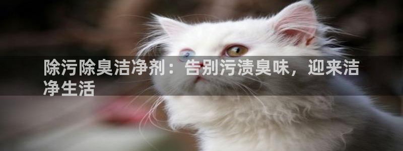 凯时最新官方APP下载