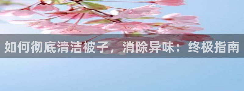 尊龙凯时网站赌愽做假吗：如何彻底清洁被子，消除异味：终极