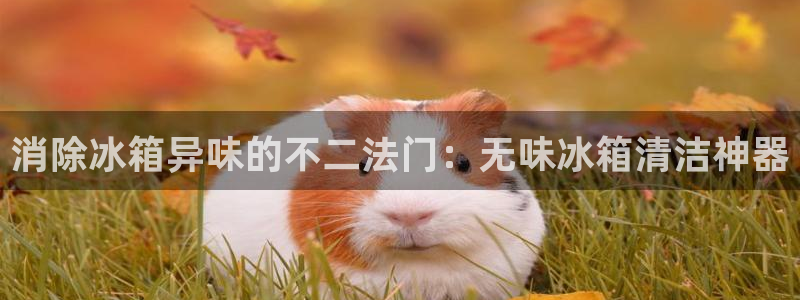 z6尊龙平台是哪里的