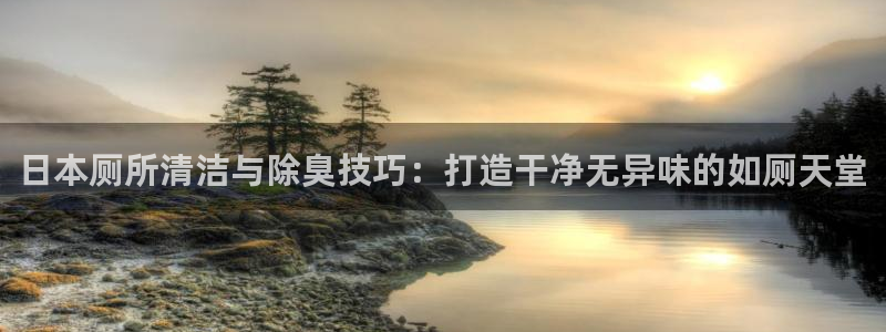 凯时官网手机版下载：日本厕所清洁与除臭技巧：打造干净无异