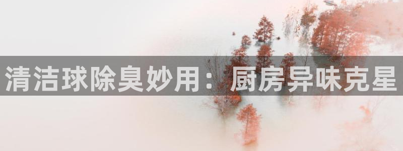 尊龙新版App下载