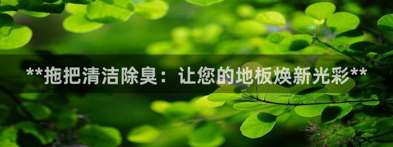 尊龙凯时电竞注册：**拖把清洁除臭：让您的地板焕新光彩*