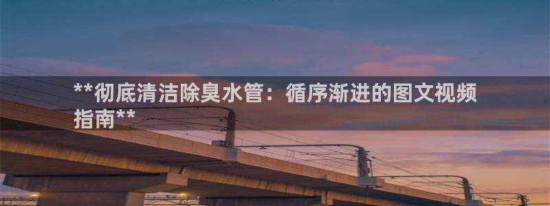 尊龙客服：**彻底清洁除臭水管：循序渐进的图文视频
指南
